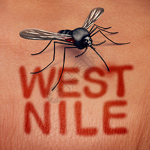 西尼罗河病病种蚊子传播的疾病,人体解剖学上的种叮咬,皮肤上的红色文字种医学感染综合征的象征,以3D插图风格图片