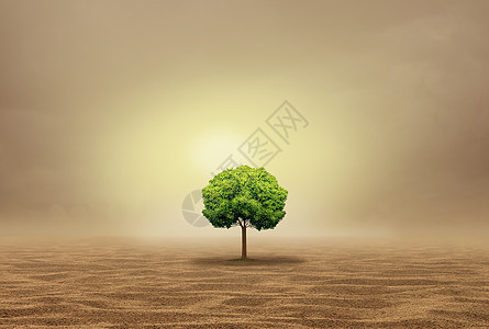 搁浅无助绿洲的,个脆弱的单树木炎热干旱的沙漠个撤回的隐喻三维插图风格图片