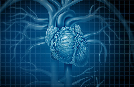 人类心脏背景心血管循环血液循环心脏符号心脏病学图标与三维插图元素图片