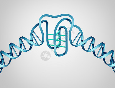 把新的DNA发现种科学生物学的,个分子结构个3D插图的基序DNA图片