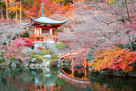 建筑外景日本京都岱戈寺新贡佛寺背景