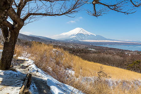 冬季山中湖富士山空中全景图片