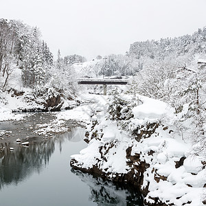 美丽的降雪冬季景观希拉卡瓦戈日本图片
