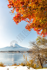 mt富士秋季KawaguchikoKawaguchi湖日本富士山图片