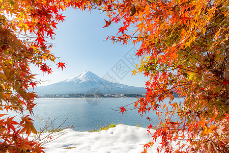 mt富士秋季KawaguchikoKawaguchi湖日本Fujikawaguchiko选择图片