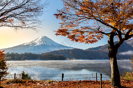 日出山富士秋季KawaguchikoKawaguchi湖日本富士山图片