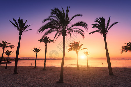 日落时,棕榈树的轮廓映衬着五彩缤纷的天空热带景观与棕榈沙滩,海洋,黄金阳光夏季傍晚马略卡,西牙复古风格自然背景图片