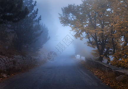 神秘的秋天森林,雾中路坠落薄雾树林五颜六色的景观与树木,乡村道路,橙色红色的叶子,蓝雾神奇的道路秋天的背景图片