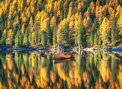 木船布莱斯湖日出秋季白云岩,意大利景观与秋天的森林,山,湖,水与倒影,树木与五颜六色的叶子白云石意大利阿尔卑斯图片