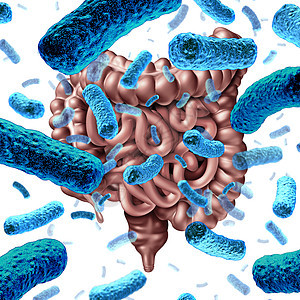 肠道细菌小肠内的益生菌结肠肠道内的消化菌群,微生物群的健康标志三维渲染背景图片