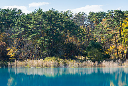 秋日五色池,乌拉白,福岛,日本图片