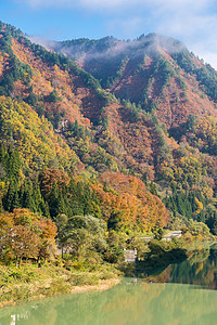 秋叶科约日本福岛县塔达米地区背景图片