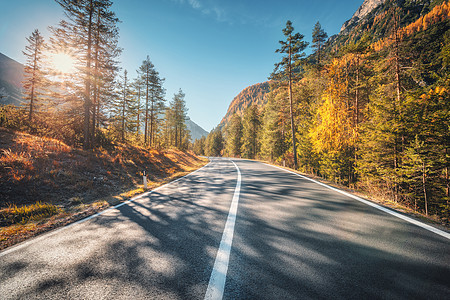 意大利日落时秋天森林的道路美丽的山路,橙色叶子阳光的树木景观与空沥青路穿过林地,蓝天秋天运输图片