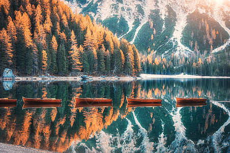 意大利白云岩秋季日出时,布莱斯湖上的木船景观与秋天的森林,山,水与倒影,树木与五颜六色的叶子意大利阿尔卑斯山旅行宁图片