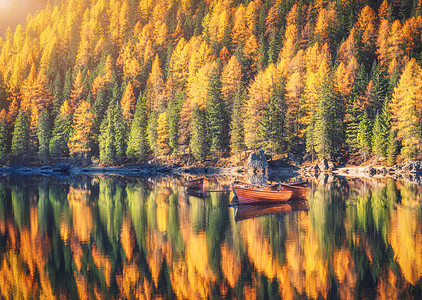 意大利白云岩秋季日出时,布莱斯湖上的木船景观与秋天的森林,山,水与倒影,树木与五颜六色的叶子意大利阿尔卑斯山旅行宁图片