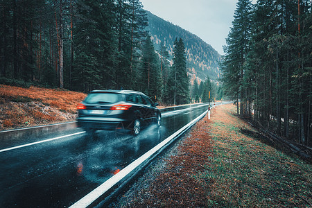 模糊的汽车秋天的森林里的道路上运动阴雨天完美的沥青山路巷道,意大利阿尔卑斯山的松树运输雾林中的公路旅行图片