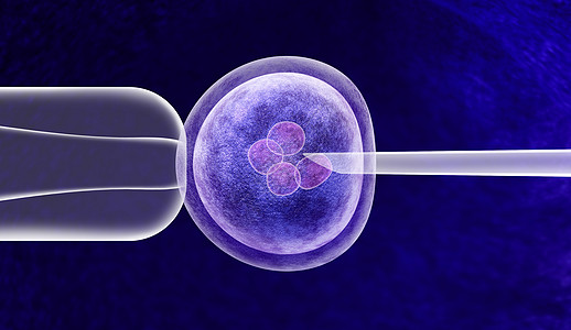 基因编辑体外遗传CRISPR基因工程医学生物技术保健与受精的人卵胚分裂细胞三维插图图片