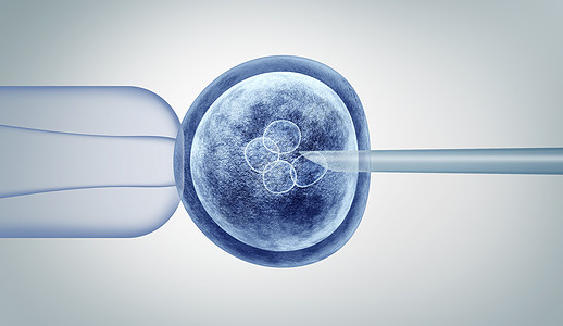 受精的人卵胚分裂细胞3D插图高清图片