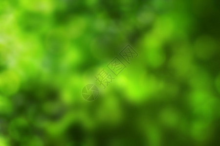 抽象的绿色背景与自然的Bokeh图片