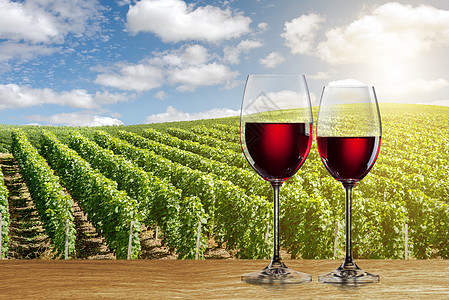 杯红酒抵着葡萄园的风景图片
