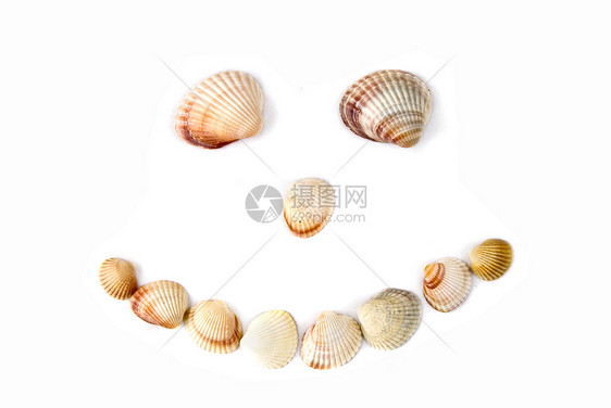 微笑各种颜色的贝壳分离白色图片