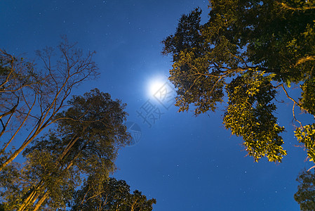 泰国热带森林的夜空图片