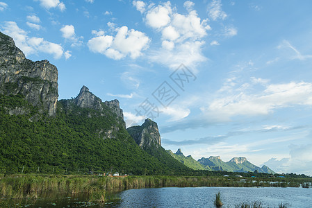 热带森林水湖图片