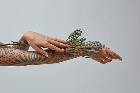 女人的手着花枝灰色的背景上,文字的地方个女孩手上纹身,手里着灰色的花图片