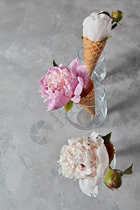 精致的粉红色牡丹花个圆锥体个璃上,站个灰色的石桌上,顶景夏天迷人的花朵牡丹晶圆杯灰色背景的眼镜图片