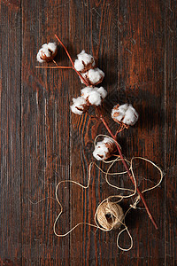 线根毛茸茸的白色棉花花张古老的木制棕色桌子上白色棉花花的树枝图片