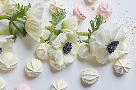 美丽的白色花朵代表白色背景上的白色纹章,任何明信片的装饰情人节女日白色背景上的白色花朵图片