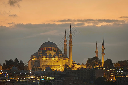 土耳其伊斯坦布尔夜城的蓝色清真寺晚上的蓝色清真寺图片