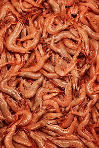 新鲜的生虾,健康的海鲜新鲜的生虾图片