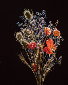 黑色背景上分离的干花同颜色的干花灌木花的植物黑色的干花图片