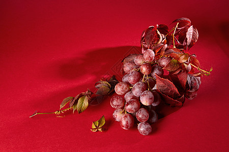 生鲜水果红色背景上的串新鲜成熟的红色葡萄叶子串成熟的红色葡萄背景