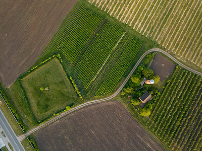 鸟瞰农业领域夏日景观用无人机飞过美丽的乡村景观鸟瞰农业田间夏日图片