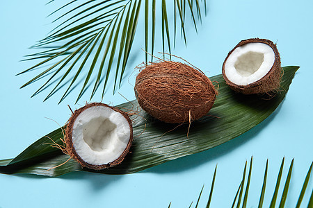 整个半椰子的成绿叶棕榈叶蓝色背景平躺蓝色背景上同的棕榈叶椰子美丽的创意布局平躺图片