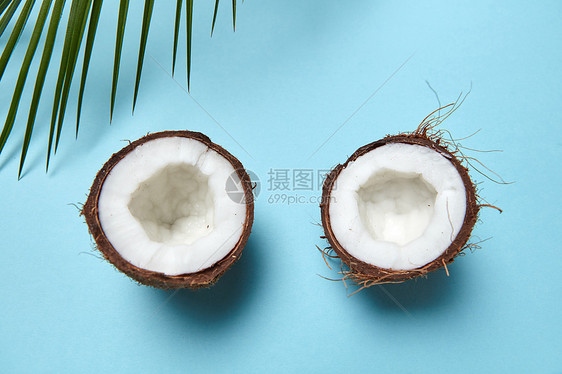 切碎的椰子绿色棕榈枝蓝色背景上,文字的创造的布局平躺成熟的Rughalves机椰子绿色棕榈叶的成,图片