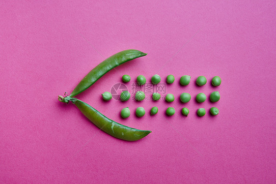 创造的称成的绿色豌豆的形式,鱼吞咽食物粉红色的背景平躺食物平躺的水平行开放的吊舱粉红色的纸背景图片