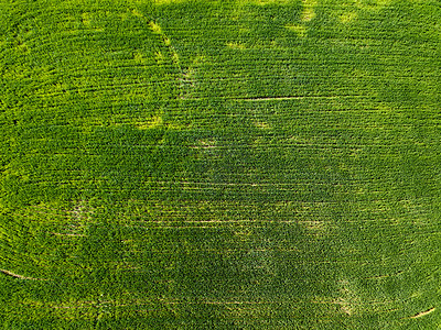 鸟瞰农村种田农业活动的无人机的照片鸟瞰农村的绿色田野无人机的照片图片