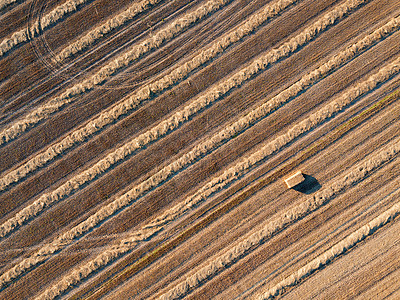 收获小麦后飞行无人机农田的全景收获后的角线地带,自然背景的风景飞行无人机农田的顶部视图,夏天收获小麦图片