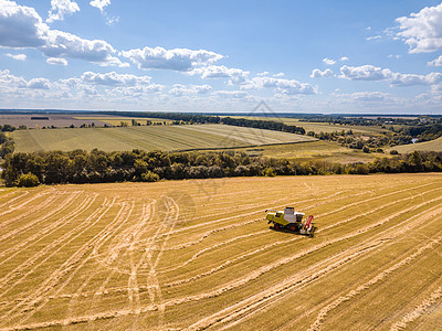 无人机农业收获小麦作物的鸟瞰结合个阳光明媚的夏日蓝天的背景下乡村景观无人机农业领域的鸟瞰结合蓝天的背景上图片
