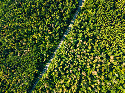 阳光明媚的天,架无人机片绿色森林上与沥青道路上的鸟瞰图环境保护你的想法的自然布局落叶森林的道路的鸟瞰图片