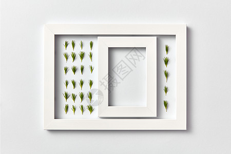空框与草药图案的轻松针个矩形框架上的浅灰色背景,放置文本平躺贺卡植物图片的松枝针空框个轻的背景图片