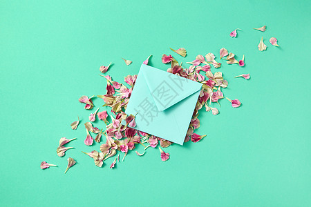 模型手工信封与花花瓣浅绿色背景文字的地方平躺祝贺卡带鲜花花瓣信封的贺卡,背景为浅绿色图片
