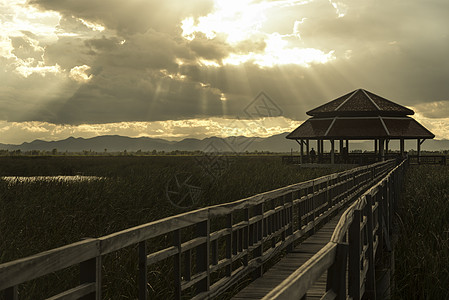 泰国PrachuapKhiriKhan的SamRoiYod公园湖上的木桥图片