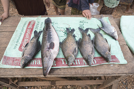 老挝卖鱼的摊位图片