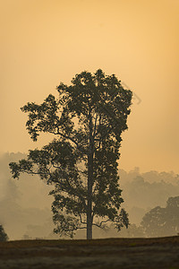 热带雨林自然资源观,泰国北海公园图片