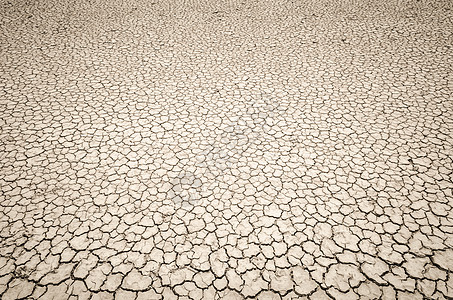 干裂土背景,粘土沙漠纹理背景图片