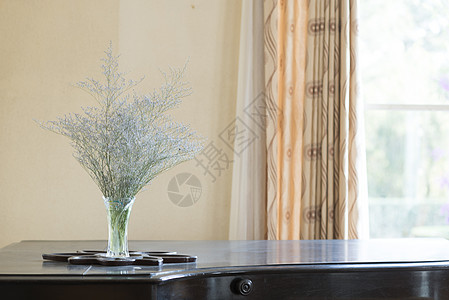 钢琴上干燥的老式花瓶背景图片